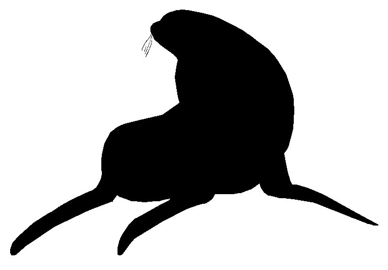 Sea lion.jpg
